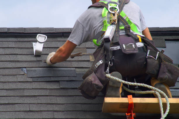 Best Roof Gutter Cleaning  in Kempner, TX